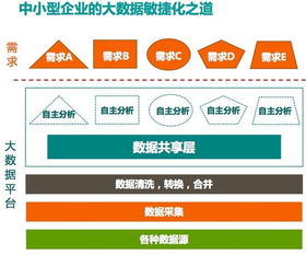 沼泽里的掘金术 大数据时代数据资产管理五星模型
