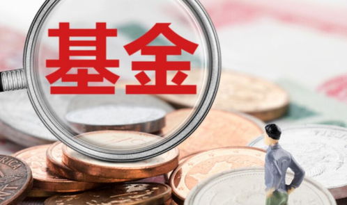 金融资金平台有哪些 以下公司表现较为突出