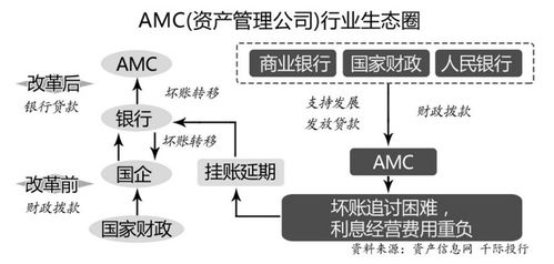 金融稳定制度架构下发挥资产管理公司作用的思路及建议 首席观点