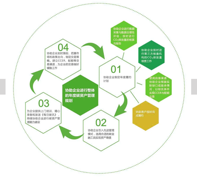 什么是碳资产管理?如何筹建碳资产管理公司?