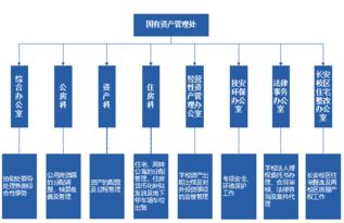 国有资产管理处简介