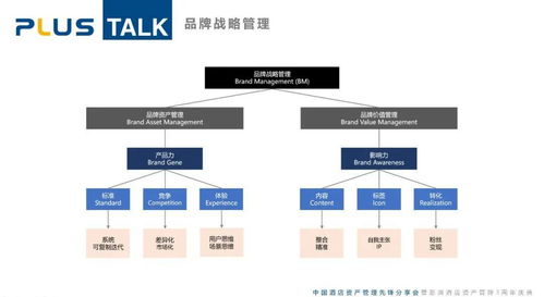 plus talk 资管角度的品牌能力构建 叶松