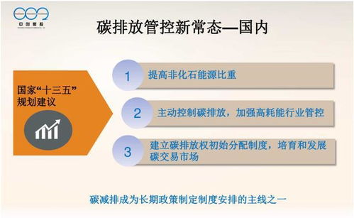 大型控排企业碳资产管理体系pdf ppt资料